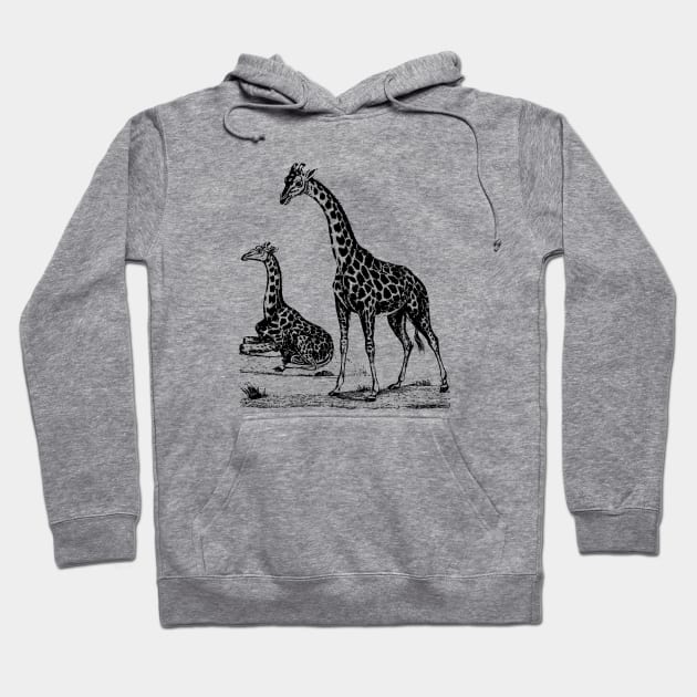 Giraffe Nature Drawing Hoodie by KnuckleTonic